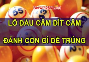 lô đầu đit câm, đầu đít câm, lô câm, đầu câm, đít câm, lô đầu đít câm đánh con gì, mẹo bạc nhớ, kinh nghiệm bắt lô đầu đuôi chuẩn xác, đầu đuôi câm thì hôm sau có con lô nào, bạc nhớ lô đề đầu câm đít câm, đầu câm đít câm đánh con gì, lô câm đánh đề con gì